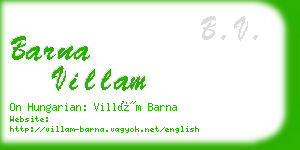 barna villam business card